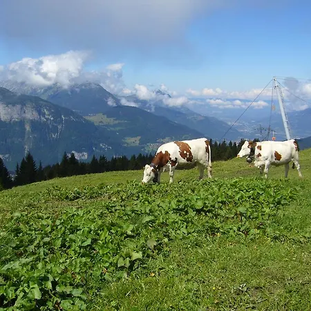 Jardin Alpin Apartment *